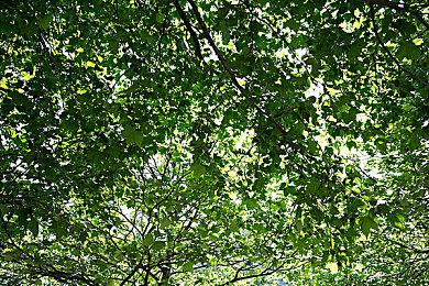 《堡垒之夜》联动《街霸》4月28日上线 樱与布兰卡服装登场